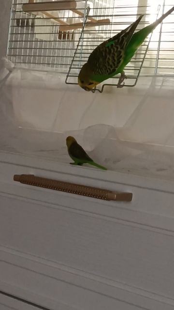 Хулиганство