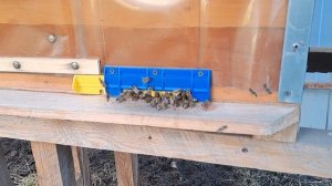 Мы за здоровый образ жизни  !!😘😅