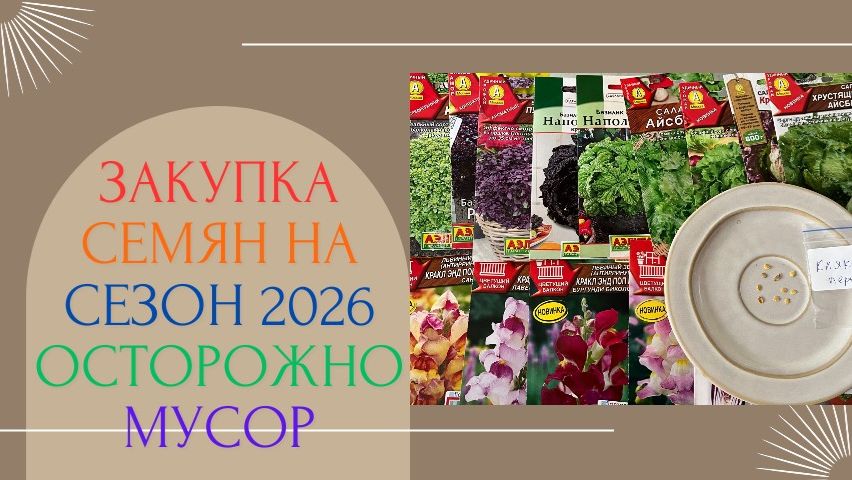 НОВЫЙ СТЕЛЛАЖ ДЛЯ РАССАДЫ / ЗАКУПКА СЕМЯН НА СЕЗОН 2026 смотреть онлайн