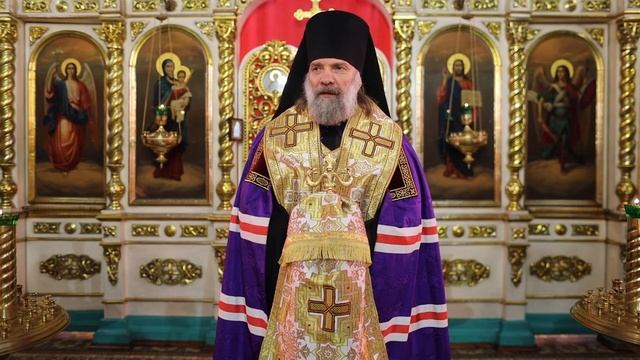 Проповедь епископа Питирима (Творогова) после молебна о даровании победы. 08.02.26. смотреть онлайн