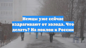 Немцы уже сейчас вздрагивают от холода. Что делать? На поклон к России