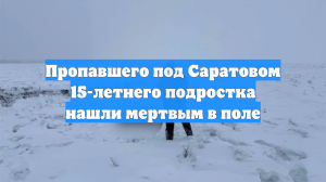Пропавшего под Саратовом 15-летнего подростка нашли мертвым в поле