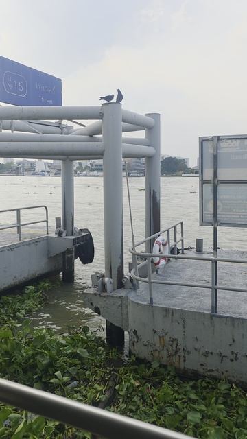 Бангкок 6 день 2