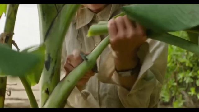 На помощь 2026 трейлер смотреть онлайн