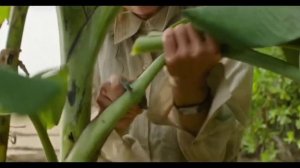 На помощь 2026 трейлер