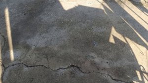 Лакомство для собачек