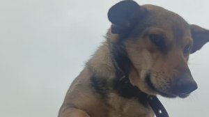 Херсонщина 8 февраля 2026 года