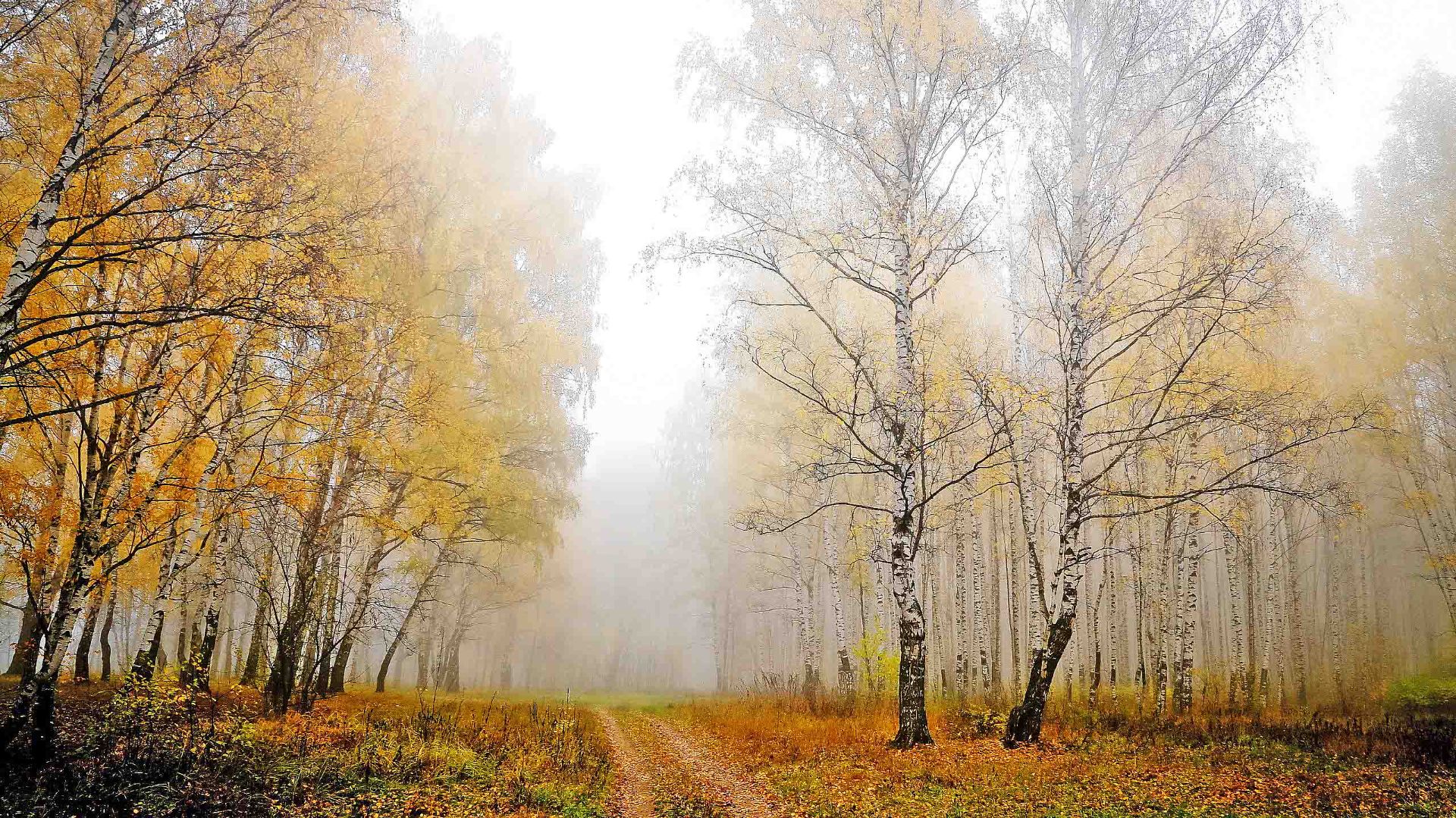 ПРИГЛАШЕНИЕ В УШЕДШУЮ ОСЕНЬ В окрестностях Брянгска смотреть онлайн