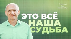 Как судьба действует на нашу жизнь? (Торсунов О. Г.)