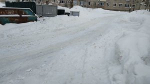 Собака. Ветер и снег.