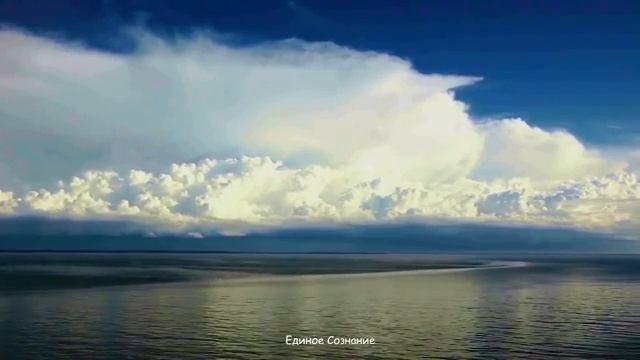 Одиночество — это предельная реальность.