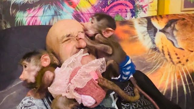 БЕДНЫЙ ПАПА! Степашка и Маняшка просто атакуют Влада!