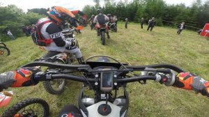 Путь Сусанина 2025 2