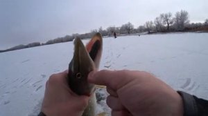 БРОСИЛ ЖЕНУ, А ОНА ДУБАСИТ!!! ТАКАЯ РЫБАЛКА У НЕЕ ВПЕРВЫЕ! Зимняя рыбалка 2026.