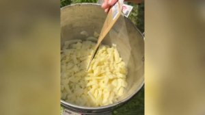 Новлянка 2025