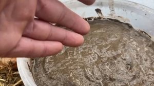 Смертельное земледелие убивает еще не рожденных детей.