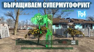 Fallout 4. Как правильно пересадить растения столбом без модов (гайд)