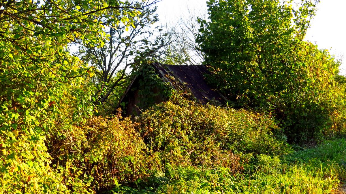 Осенние краски... смотреть онлайн