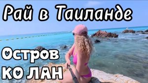 Рай в Тайланде, остров Ко Лан ,февраль 2026 / Как добраться с Джомтьена /