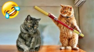 Смешные и забавные животные 😻😺 Лучшие приколы с животными 🐶 Подборка приколов с животными