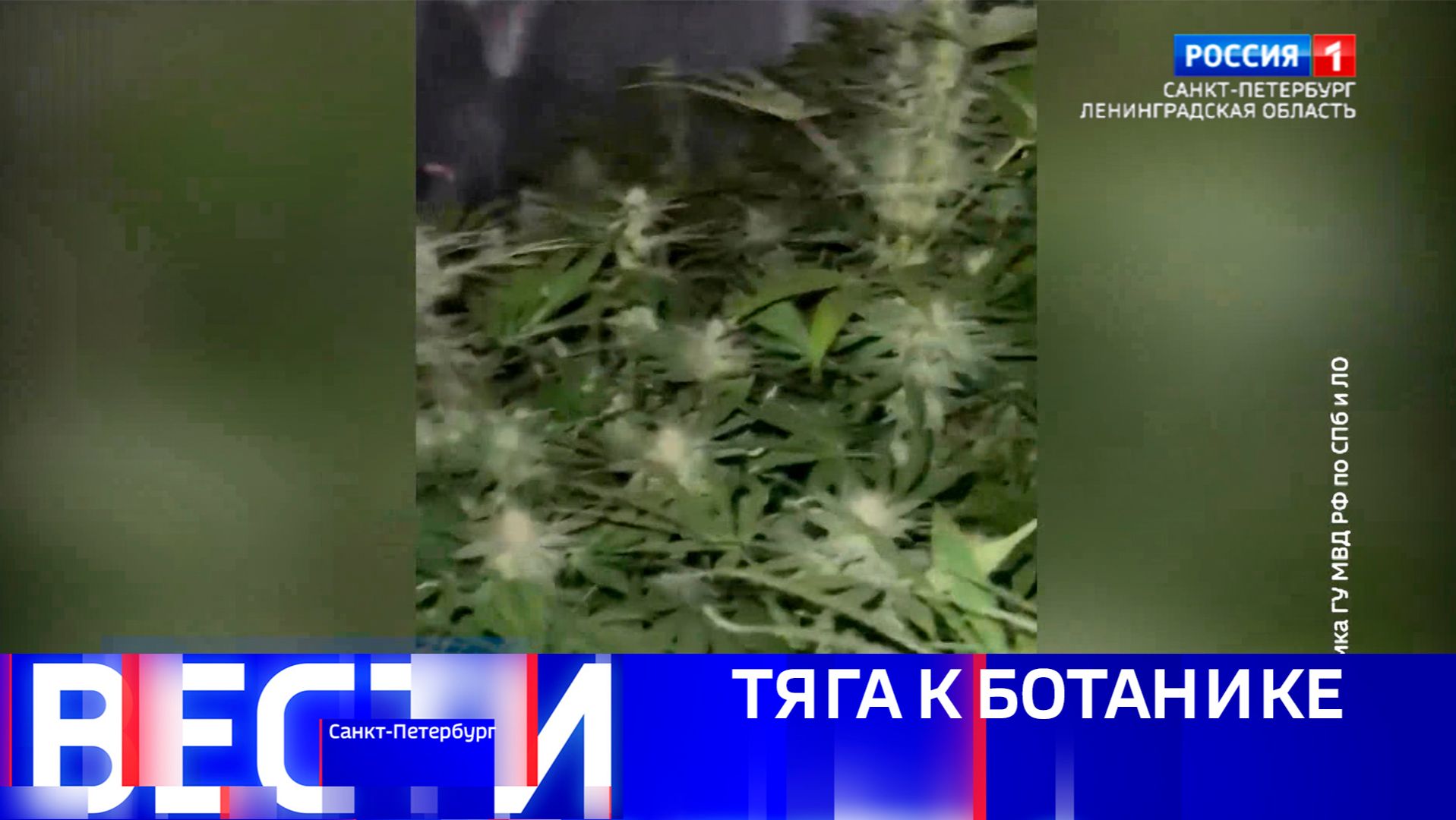 Вести Санкт-Петербург. Выпуск 08.00 от 08.02.2026 смотреть онлайн