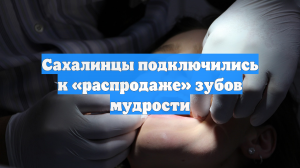 Сахалинцы подключились к «распродаже» зубов мудрости