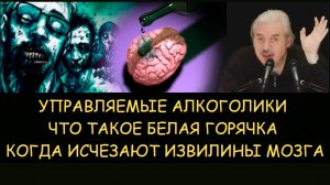 ✅ Н.Левашов. Управляемые алкоголики. Что такое белая горячка. Когда исчезают извилины мозга