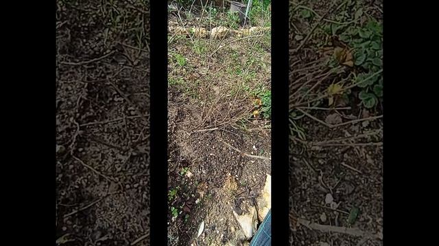 Что происходит на участке. Португалия. смотреть онлайн