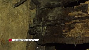 Управляющей компании нет, гниющий подвал и проваливающиеся полы