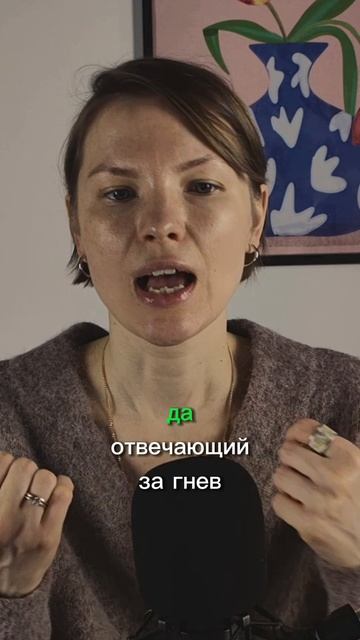 В основе пубертата — биология!