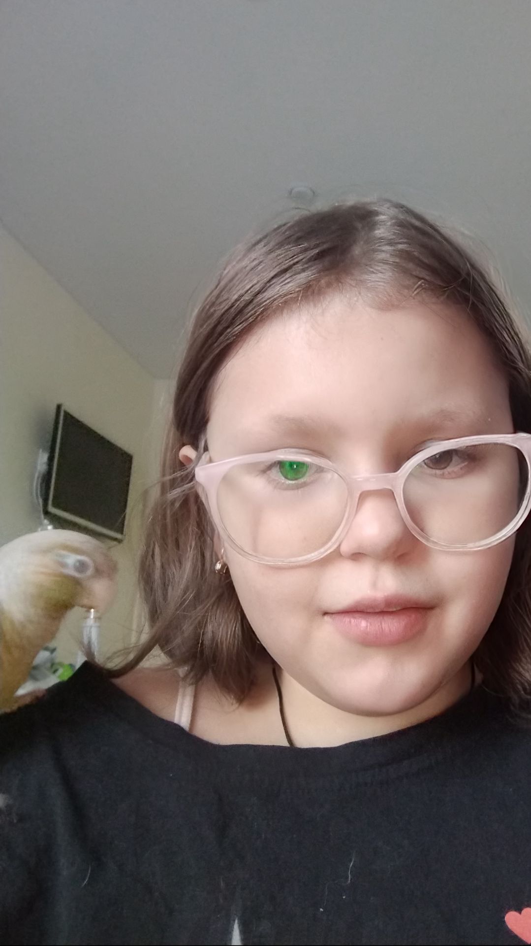 Мой попугай утром  когда я ем