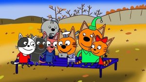 Три Кота Велозаезд