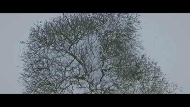 Экстаз (фильм, 2018) Climax 2018 драма, ужасы