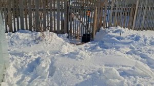 Соня 4 месяца