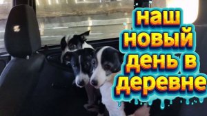 ВЛОГ/НАШ НОВЫЙ ДЕНЬ В ДЕРЕВНЕ/ПОКАТУШКИ/ТРАНСПОРТНАЯ КОМПАНИЯ РЕКСИК БУМ!!!