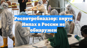 Роспотребнадзор: вирус Нипах в России не обнаружен
