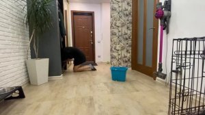 МОТИВАЦИЯ НА УБОРКУВЛАЖНАЯ УБОРКА В КОМНАТЕ ПОДРОСТКА