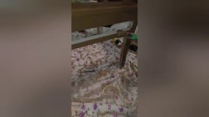 Кто не верил? Мы сделали это! Старый стул обновлен❤️🥰