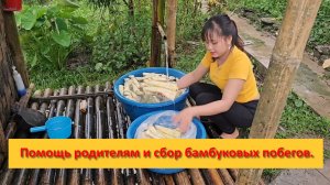 Thị Bình. Вьетнам. Помощь родителям в пруду и сбор бамбуковых побегов для продажи.