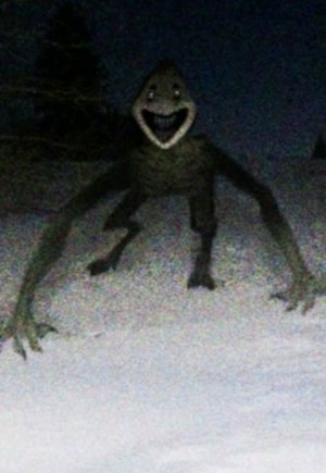 мои игрушки