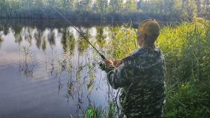 Рыбалка с Маринкой на торфянике в лесу на карася.