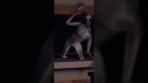 самое короткое видео на рутубе