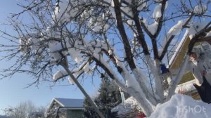 Поездка на дачу 7 февраля | мороз и солнце