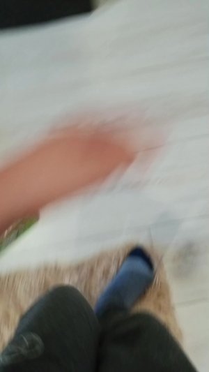 карп карась