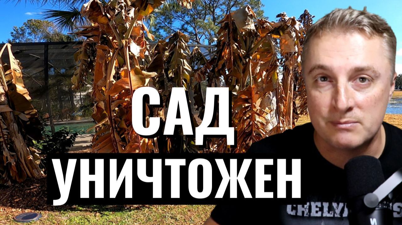 Сад во Флориде УНИЧТОЖЕН смотреть онлайн