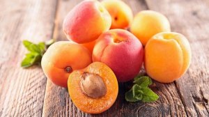 Почему не растёт абрикос в Турочаке?