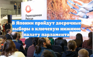 В Японии пройдут досрочные выборы в ключевую нижнюю палату парламента