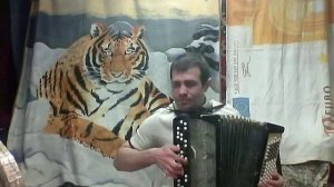 Баянист Сурмач Андрей Викторович Andrew Surmach нар прои Как под яблонькой.mp4