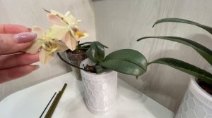 Это 100% рабочий фитиль. 💪💪💪