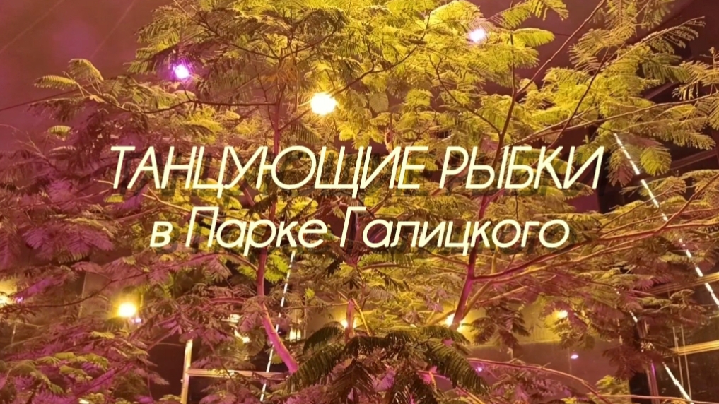 Парк Галицкого зимой. Танцующие рыбки и обедающие черепахи✅